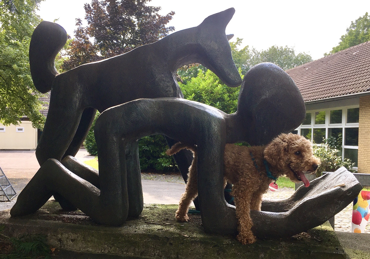 Kalli an der Rothstein-Schule in Solingen, August 2021