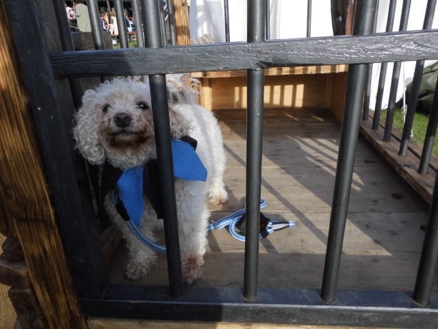 Willi in der mittelalterlichen Kinderbetreuung